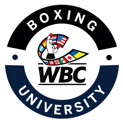Boxing logo